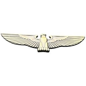 Resim Kartal Arma Askeri Reng 