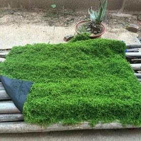 Resim Canlı Yeşil Yapay Saz Mat, Dayanıklı Polyester, İç/Dış Mekan Dekorasyonu İçin Kesilebilir ve Stilize Edilebilir, Şükran Günü, Noel, Paskalya ve Daha Fazlası İçin Mükemmel, Saz Dekoru 