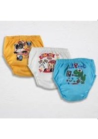 Resim Unisex Bebek Gri Alıştırma Külodu 