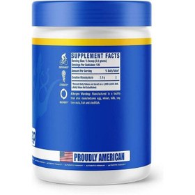 Resim Ronnie Coleman Creatine 300 gram 