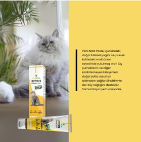 Resim Zoovital Kediler Için Tüy Yumağı Önleyici ve Sindirim Düzenleyici Malt Macun Paste 
