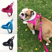 Resim DogFad Kolay Takılan Çekmez Köpek Göğüs Tasması - Yansıtıcı, Ayarlanabilir, Rahat Oturan Yelek Hızlı Çıkarma Tokası & Dolaşmayan Tasma Bağlantısı - Dayanıklı Polyester, Elde Yıkanabilir - Gece Güvenliği İçin İdeal, Kırmızı, Mavi, Siyah Renklerde Mevcut, Küçük Köpekler İçin Göğüs Tasması 