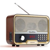 Resim Polosmart FS60 Kablosuz Şarj Edilebilir USB/TF/AUX girişli Nostaljik FM Radyo Kahverengi 
