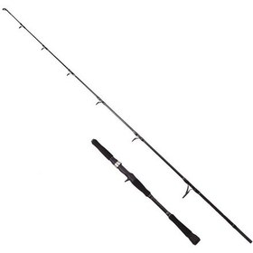 Resim Albastar Novus 165 Cm 100-200g Aksiyonlu Tetikli Jig Olta Kamışı 