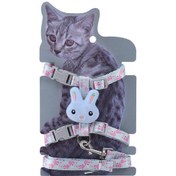 Resim Suntek Kedi Çekme Halatı Evcil Hayvan Eğitim Tasması Mavi-s 