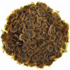 Resim 250gr Tetra Pro Algae Yetişkin Akvaryum Yemi 