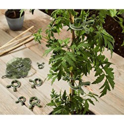 Resim Bitki Mandalı, 20 Adet 