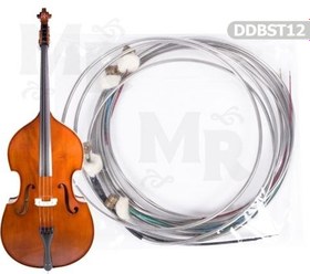 Resim Manuel Raymond DDBST12 Kontrbas Tel Takımı (1/2) | Öğrenci Kontrbasları İçin Yumuşak Çalım 