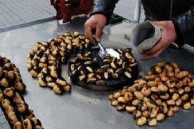 Resim Kestane Arabası Elektrikli Kestane Kızartma Tezgahı 