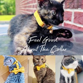Resim Cat Collar with Name Bell Cat Collar 745094 - Orange Collar + Bow Tie / L 20-32cm 