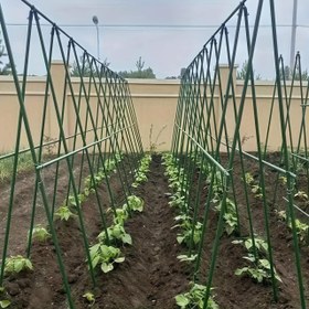 Resim Metal Bahçe Tırmanış Seti, Çeşitli Meyveler, Sebzeler, Serada Temel İçin Uygun Dayanıklı Bitki Tırmanış Çerçevesi 
