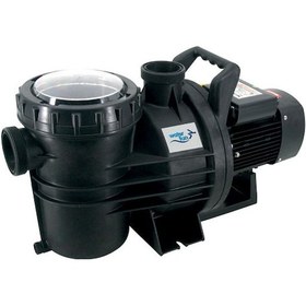 Resim Senkron 2 Model Havuz Pompası 3.0Hb Trifaze Pompa 