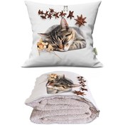 Resim Sevimli Kedi Cute Cat Baskılı Tv Battaniyeli Opsiyonel Dekoratif Yastık Kırlent 