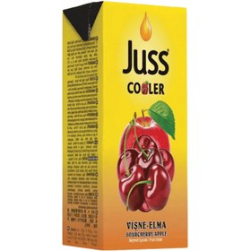 Resim Juss Elma Vişne Meyveli İçecek 200 ml 