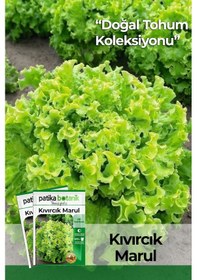 Resim Patika Botanik 2000 Adet Kıvırcık Marul Tohumu 