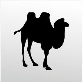 Resim Folyo Sticker Deve 200cm Uzunluk Siyah 