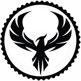 Resim Kıvırcıkyoga Kartal Desen 2.Model Tasarım Sticker 10 x 10 cm 