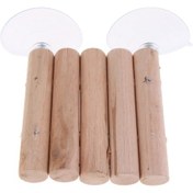 Resim Homyl Sürüngen Kaplumbağa Ahşap İskele Kurbağalar Tortise 