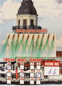 Resim Çapari İstavrit Kolay Açılır 10 İğne Renk 66 