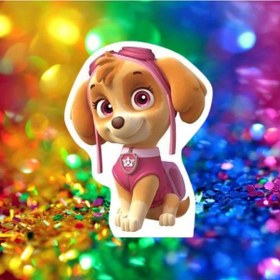 Resim Ayaklı Pano Paw Patrol-sky 32 24 Cm Doğum Günü Masa Dekoru- Oda Süsü Çok Renkli 