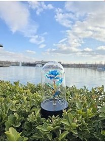 Resim İB GLOBAL Sevgililer Ve Anneler Gününe Özel, Dekoratif Solmayan Sonsuzluk Gülü, Işıklı Fanusta Gül, Işıklı Fan Mavi 