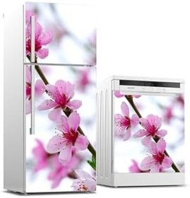 Resim Buzdolabı Ve Bulaşık Makinesi Takım Sticker 0070 