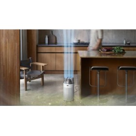 Resim Dyson HushJet™ Kompakt Hava Temizleyici Beyaz/Gümüş 