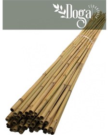 Resim 50 Adet Bambu Bitki Fidan Destek Çubuğu 1,5 Metre 