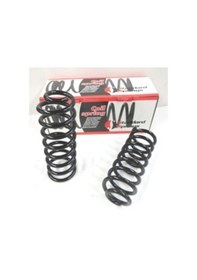 Resim Dacıa Logan- Mcv- 06/08 Arka Helezon Yayı Sağ/sol 2li Set 12,25x102 Stdr 