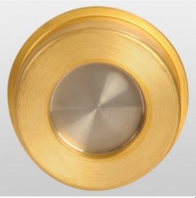 Resim Dn40 Prinç Disko Çekvalf Ayvaz 