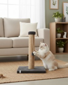 Resim Reyo Pet Kedi Tırmalama Tahtası Antrasit 42 cm 