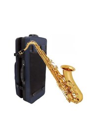 Resim Buffet Crampon 100 Seri Alto Saksafon Bc8101-1-0 