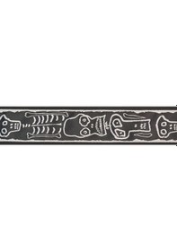 Resim Planet Waves 50js01 Joe Satriani Skull & Bones İmza Serisi Gitar 