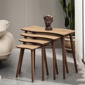 Resim SALSA 4LÜ DÖRTLÜ MDF AHŞAP ZİGON SEHPA VE ORTA SEHPA SETİ - MEŞE 