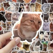 Resim 100 Sevimli ve Komik Kedi Meme Çıkartmaları: Scrapbooking için Ins-Style Emotikon Sanatı 