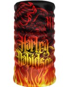 Resim Harley-Davidson Buff N11.830 