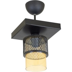 Resim Tekli Bal Cam Kafes Model Modern Plafonyer Avize V 