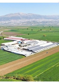 Resim Akalp Çiftliği Kızartmalık İçli Köfte 6 Adet 