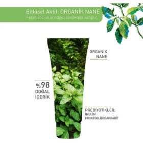 Resim Yves Rocher Kil Maske - Karma ve Yağlı Cilt /Pure Menthe 75 ml 