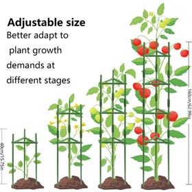 Resim Bitki Destek Domates Kafesi, 39.98cm - 159.99cm Ayarlanabilir, Kolay Montaj, Dayanıklı, Domates, Biber ve Patlıcan Tırmanma Desteği, Bahçe Bitki Sistemi, Sağlam Bitki Yapısı 
