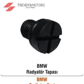 Resim Bmw Mini Radyatör Tapası Hava Alma Tapası Metal 17111712788 