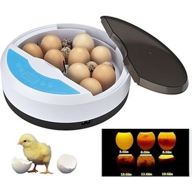 Resim Yate10 Mini 9+4 Yumurtalı Otomatik Kuluçka Makinası 