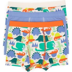 Resim U.S. Polo Assn. Erkek Çocuk 3'lü Boxer Takım 50319387-VR036 