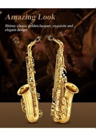 Resim Eastar As-ıı Student Mi Bemol Alto Saksafon Gold Lacquer 