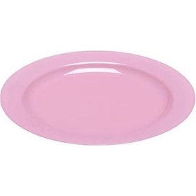Resim Plastik Pembe Tabak 23 Cm - 10 Adet 
