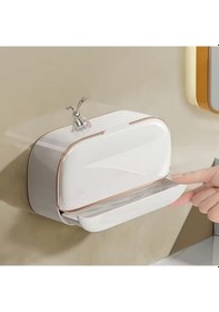 Resim Kapaklı Ve Drenaj Bölmeli Duvara Monte Sabunluk 001 