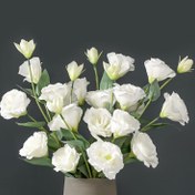 Resim 16 Adet Zarif Yapay Beyaz Lisianthus Çiçekleri - 68.58cm Gerçekçi Saplar Düğün, Noel, Paskalya, Ev & Dış Mekan Dekoru için - Yüksek Kaliteli Sentetik Malzeme, Bakım Gerektirmeyen Çiçek Düzenlemeleri, Asılı Yapay Çiçekler, Tatil Süslemeleri, Bayramlık Dekorasyon, Gerçekçi Yeşillik 