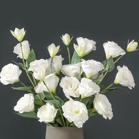 Resim 16 Adet Zarif Yapay Beyaz Lisianthus Çiçekleri - 68.58cm Gerçekçi Saplar Düğün, Noel, Paskalya, Ev & Dış Mekan Dekoru için - Yüksek Kaliteli Sentetik Malzeme, Bakım Gerektirmeyen Çiçek Düzenlemeleri, Asılı Yapay Çiçekler, Tatil Süslemeleri, Bayramlık Dekorasyon, Gerçekçi Yeşillik 