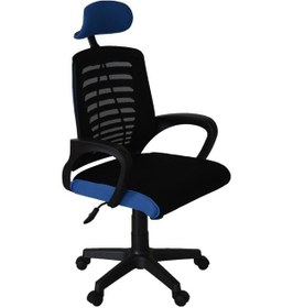 Resim Türksit Karizma File Müdür Koltuğu Plastik Ayak Siyah-mavi Siyah-Mavi 