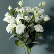 Resim 20 Sapı Şık Beyaz Suni Çiçekler - 68.58cm Gerçekçi Saplar Yeşil Yapraklarla, Ev Dekoru, Düğünler, Noel, Paskalya, İç Mekan ve Dış Mekan Kullanımı için Mükemmel, Yüksek Kaliteli Sentetik Malzeme, Bakım Gerektirmeyen Çiçek Tasarımı, Pil Gerektirmez, Düğün Çiçek Düzeni | Şık Çiçek Düzeni | Dayanıklı Suni Çiçekler, Düğün için Suni Çiçekler 
